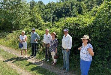 VENEZ DECOUVRIR UN VIGNOBLE, UN CHATEAU AVEC UN DEJEUNER !